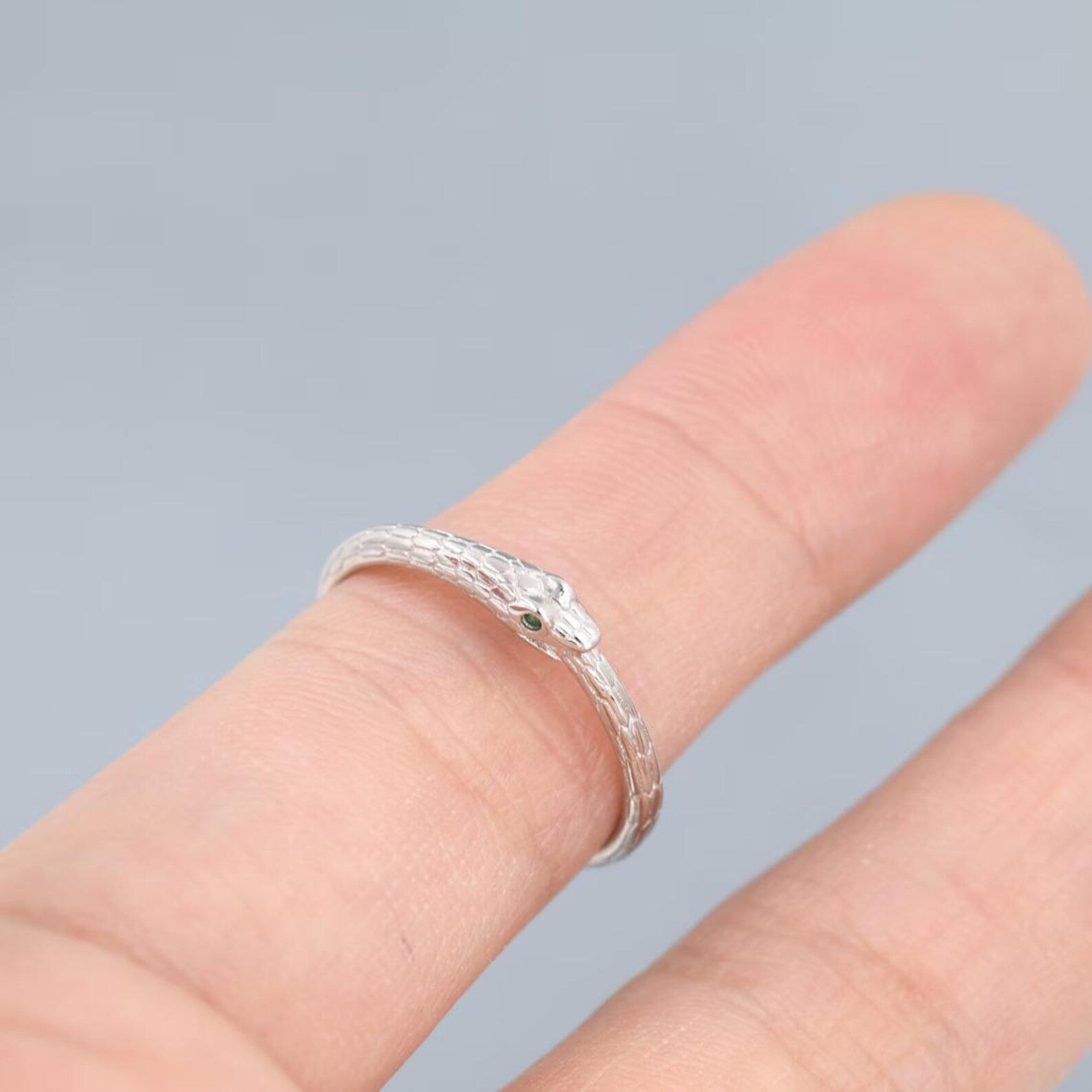 925 Sterling Silver Ouroboros Ring | Snake Eternity Ring for Women